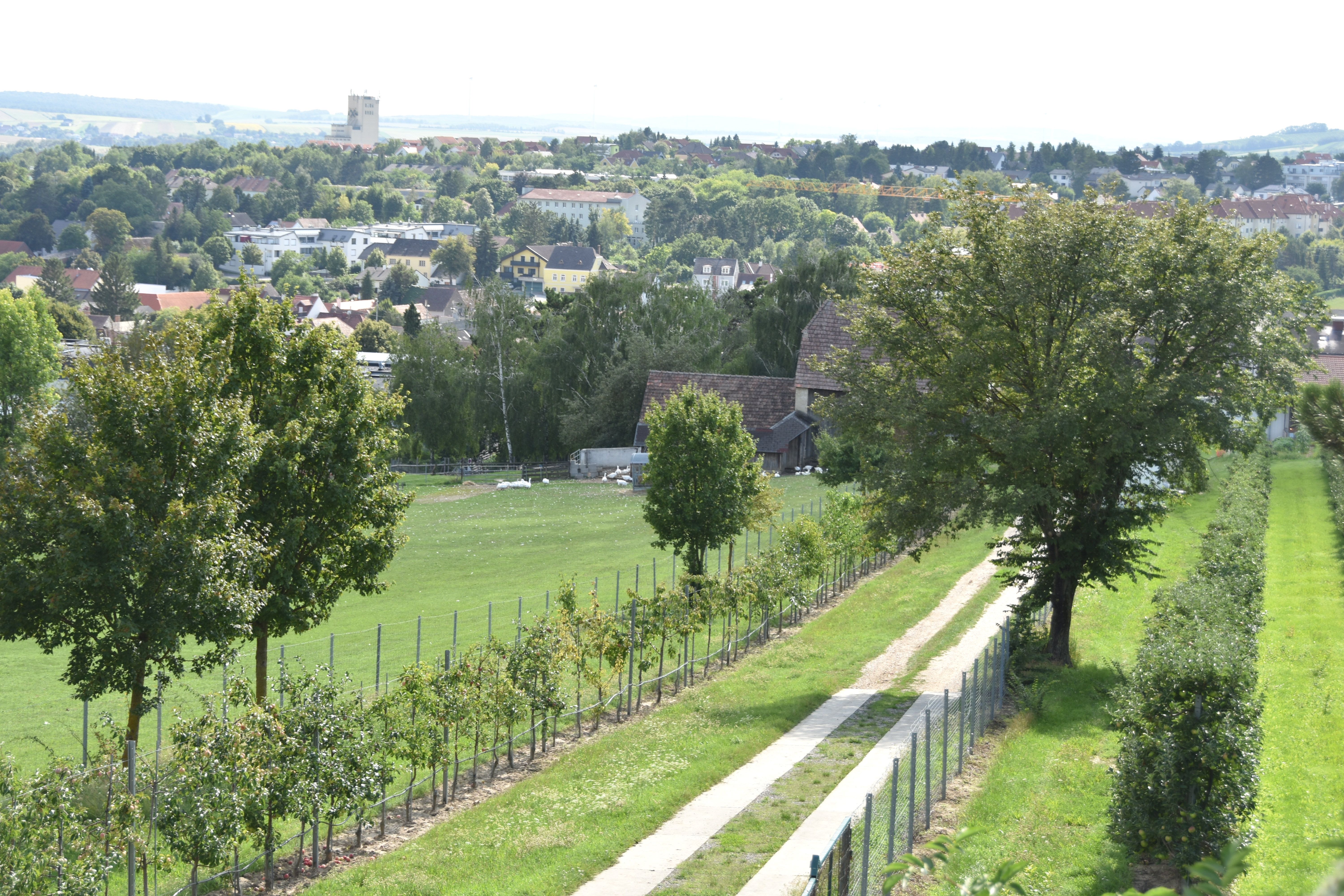 Landschaft mit Weg, Bäumen und Stadt im Hintergrund.
