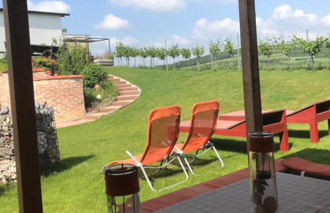 Blick von einer Terrasse auf einen Garten mit Liegestühlen und Weinreben im Hintergrund.