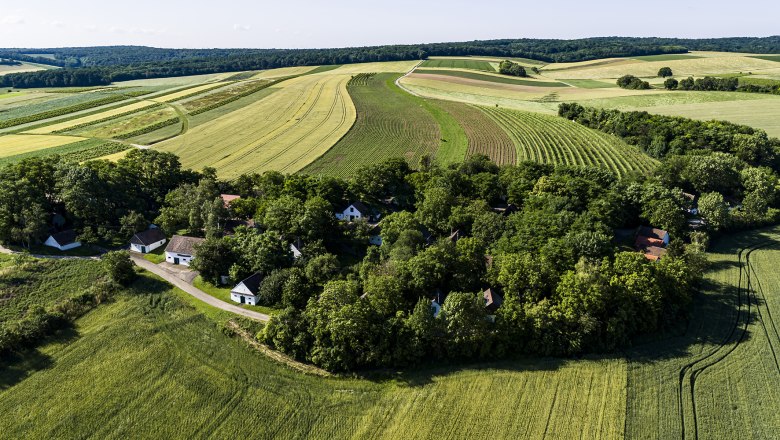 Luftaufnahme einer l&auml;ndlichen Landschaft mit Feldern und einem kleinen Dorf umgeben von B&auml;umen.