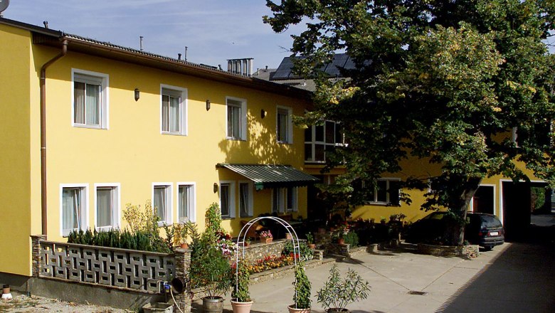 Gelbes Gebäude mit mehreren Fenstern, Pflanzen im Vordergrund und einem großen Baum daneben.