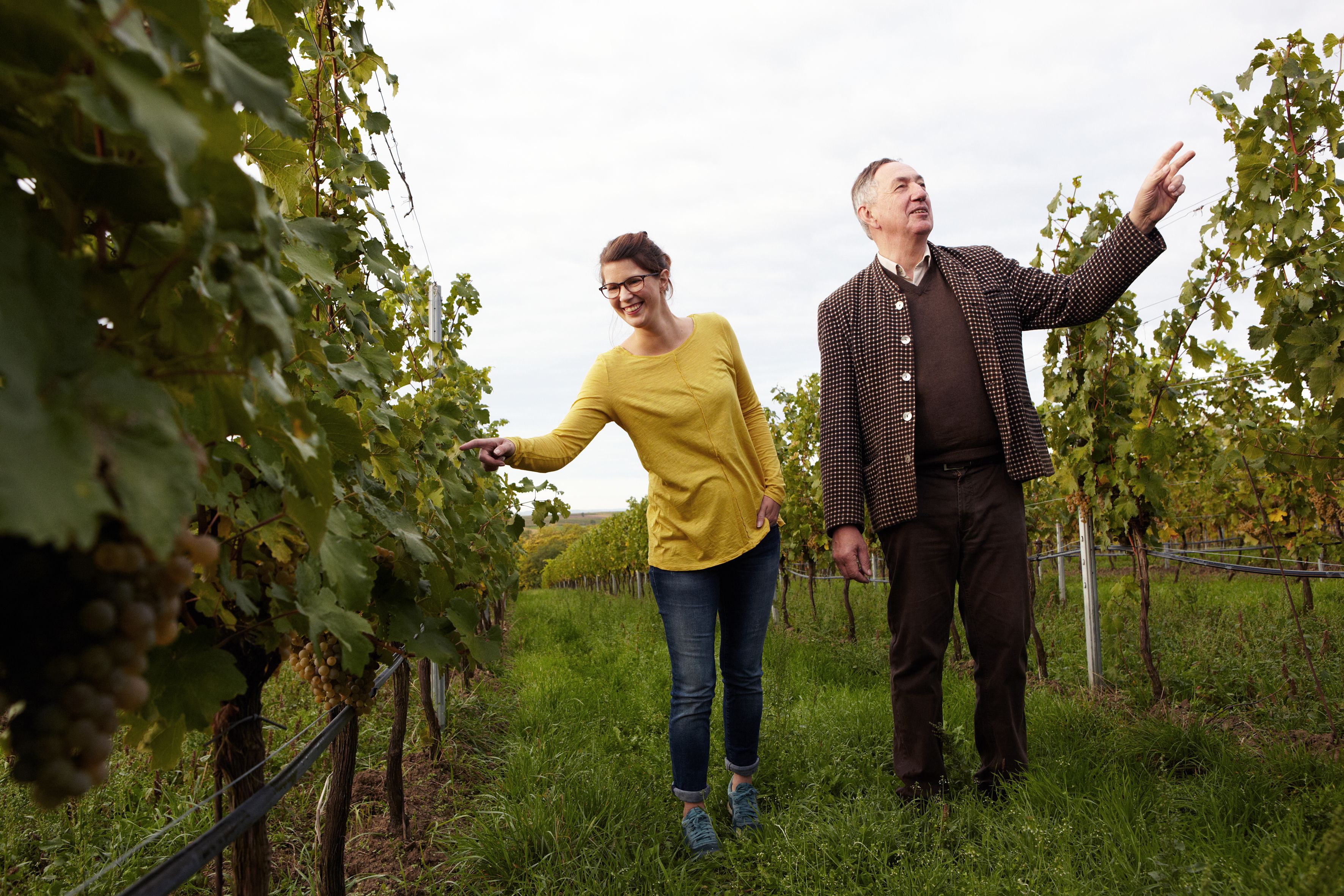 Zwei Personen im Weingarten, eine Frau in gelbem Pullover und ein Mann in Jacke, zeigen auf Weinreben.