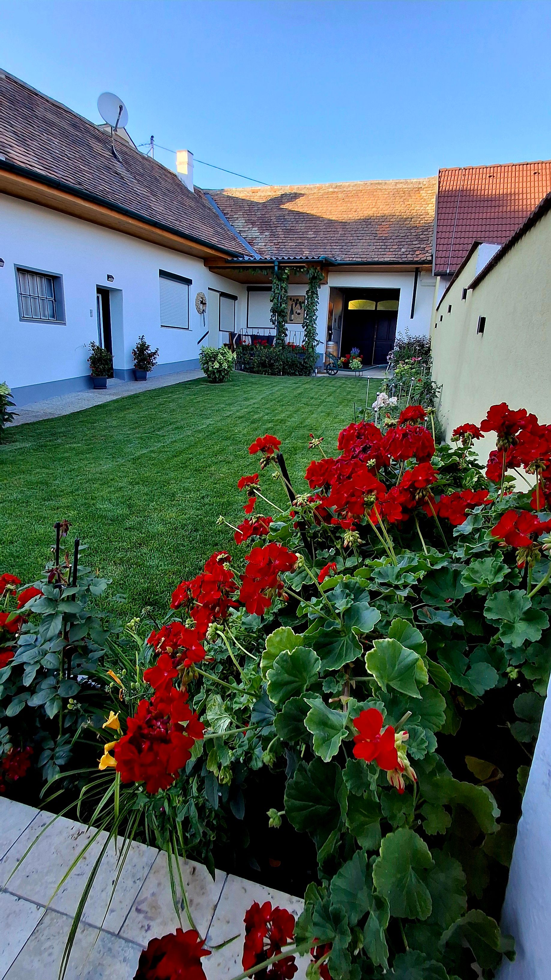Ein gepflegter Garten mit roten Blumen vor einem traditionellen Haus mit Ziegeldach im Weinviertel.