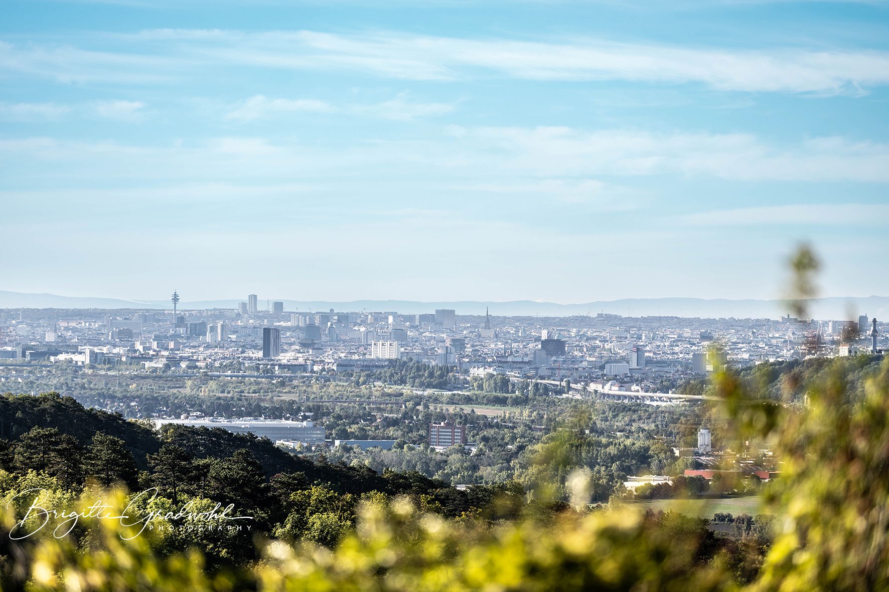 Panoramablick auf eine Stadt mit vielen Gebäuden und einem Fernsehturm im Hintergrund, umgeben von grünen Hügeln und Bäumen im Vordergrund.