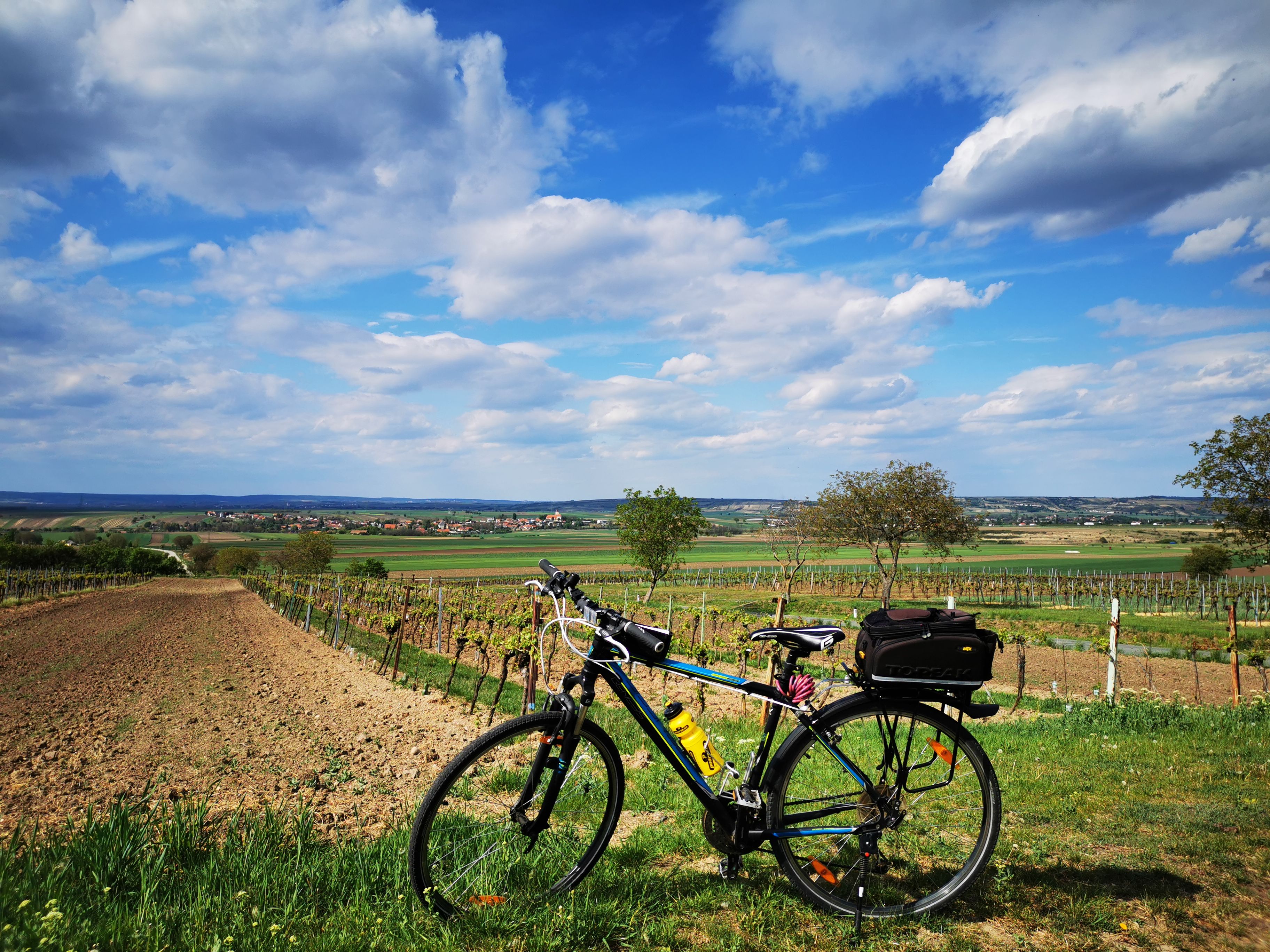 Bicycle in front of a landscape with fields and blue sky.