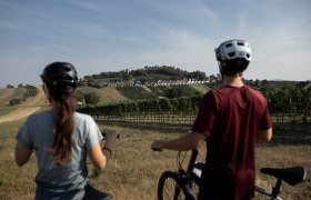 Radfahren, Weinviertel, Wildend&uuml;rnbach, Kellergasse Galgenberg, &copy; Weinviertel Tourismus/Markus Fr&uuml;hmann