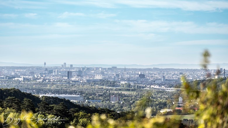Panoramablick auf eine Stadt mit vielen Geb&auml;uden und einem Fernsehturm im Hintergrund, umgeben von gr&uuml;nen H&uuml;geln und B&auml;umen im Vordergrund.