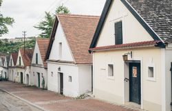 Die charmante Kellergasse lädt zu einem gemütlichen Spaziergang ein, während die traditionellen Weinhäuser mit ihren einladenden Fassaden zum Verweilen einladen. Hier, umgeben von sanften Hügeln und üppigen Weinreben, erleben Besucher die herzliche Gastfreundschaft der Region.