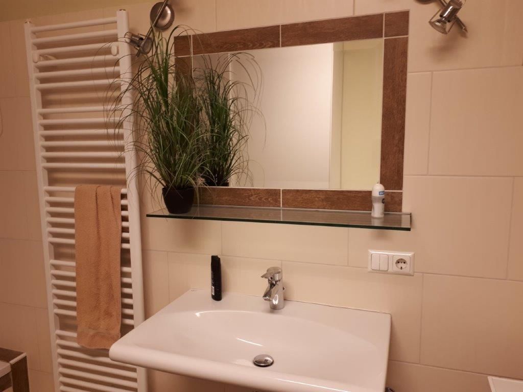 Kúpeľňa s umývadlom, zrkadlom, držiakom na uteráky a rastlinou.