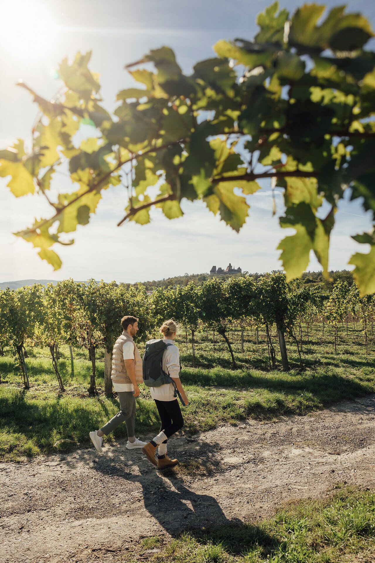 Sanfte Hügel und üppige Weinreben laden zu einem entspannenden Spaziergang ein. Die warmen Sonnenstrahlen tauchen die Landschaft in ein goldenes Licht, während die frische Luft den Duft von reifen Trauben verbreitet. Ein perfekter Ort, um die Schönheit der Natur und die Ruhe der Umgebung zu genießen.