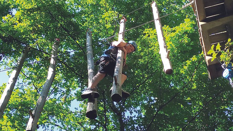 Kind klettert im Hochseilgarten zwischen Bäumen.