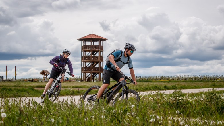 Zwei Radfahrer fahren auf einem Weg vor einem Aussichtsturm, umgeben von grüner Landschaft und bewölktem Himmel.