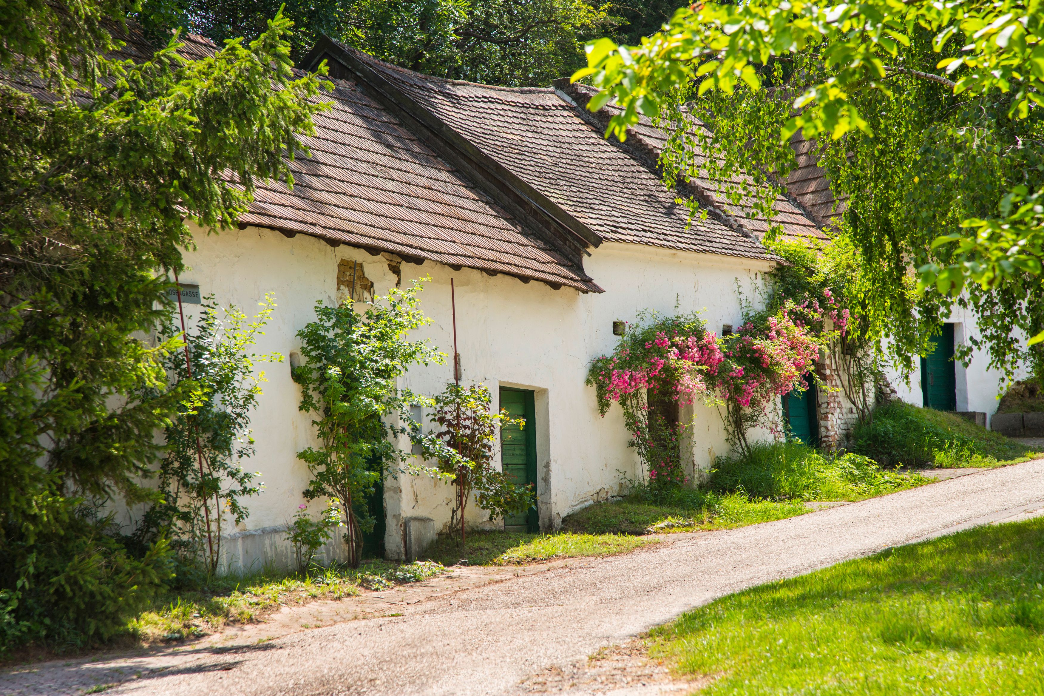 Eine malerische Gasse mit alten, weißen Häusern und blühenden Pflanzen.