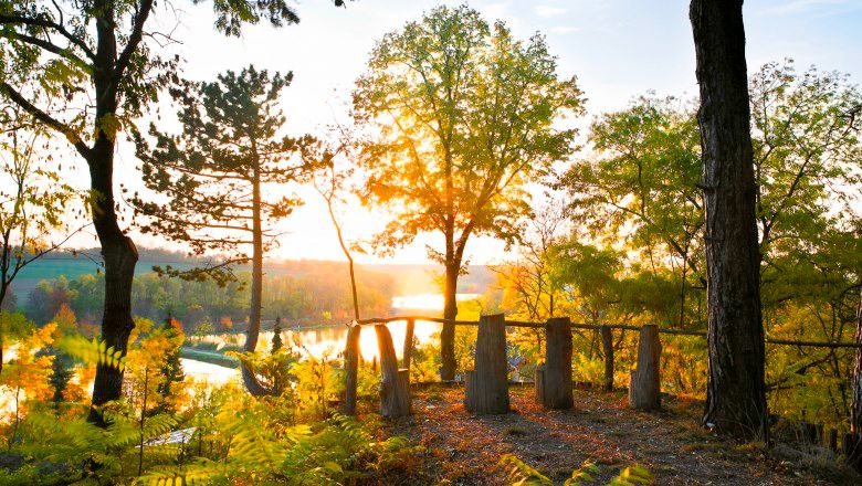 Sonnenuntergang im Schlosspark Nexing mit Bäumen und Fluss.