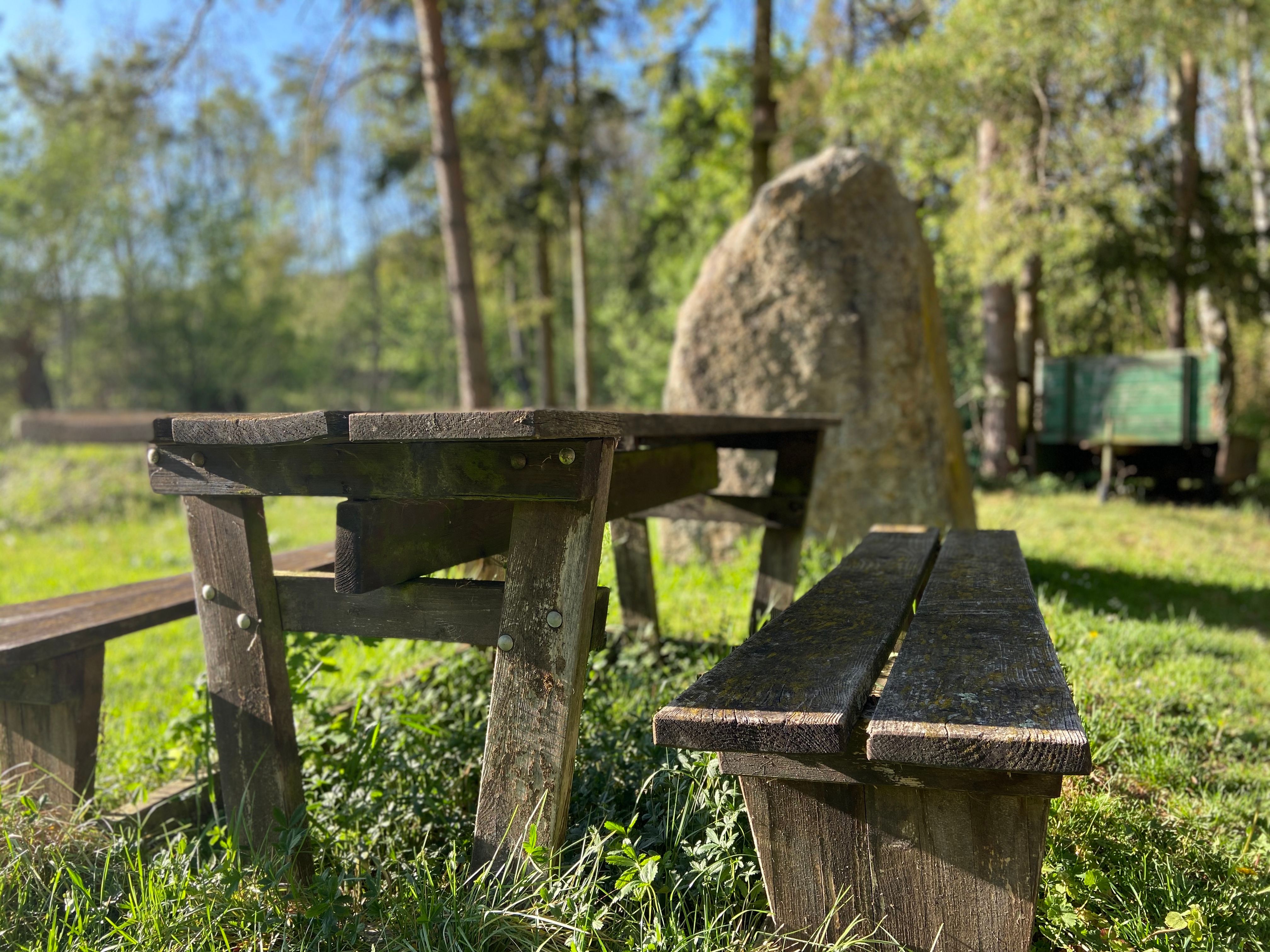 Holztisch und Bänke im Grünen mit Stein im Hintergrund.