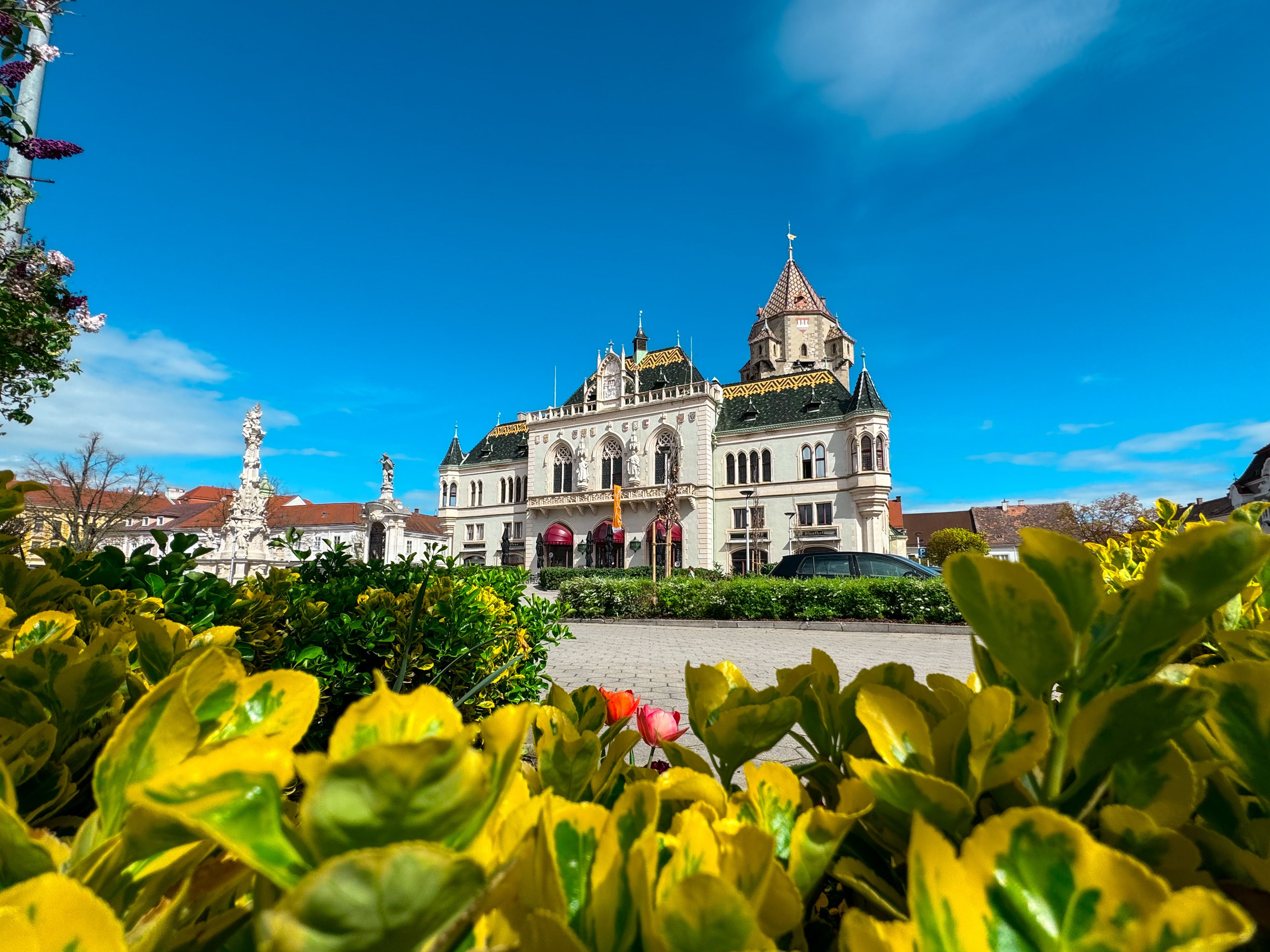 Das Rathaus von Korneuburg mit blühenden Pflanzen im Vordergrund und einem klaren blauen Himmel.