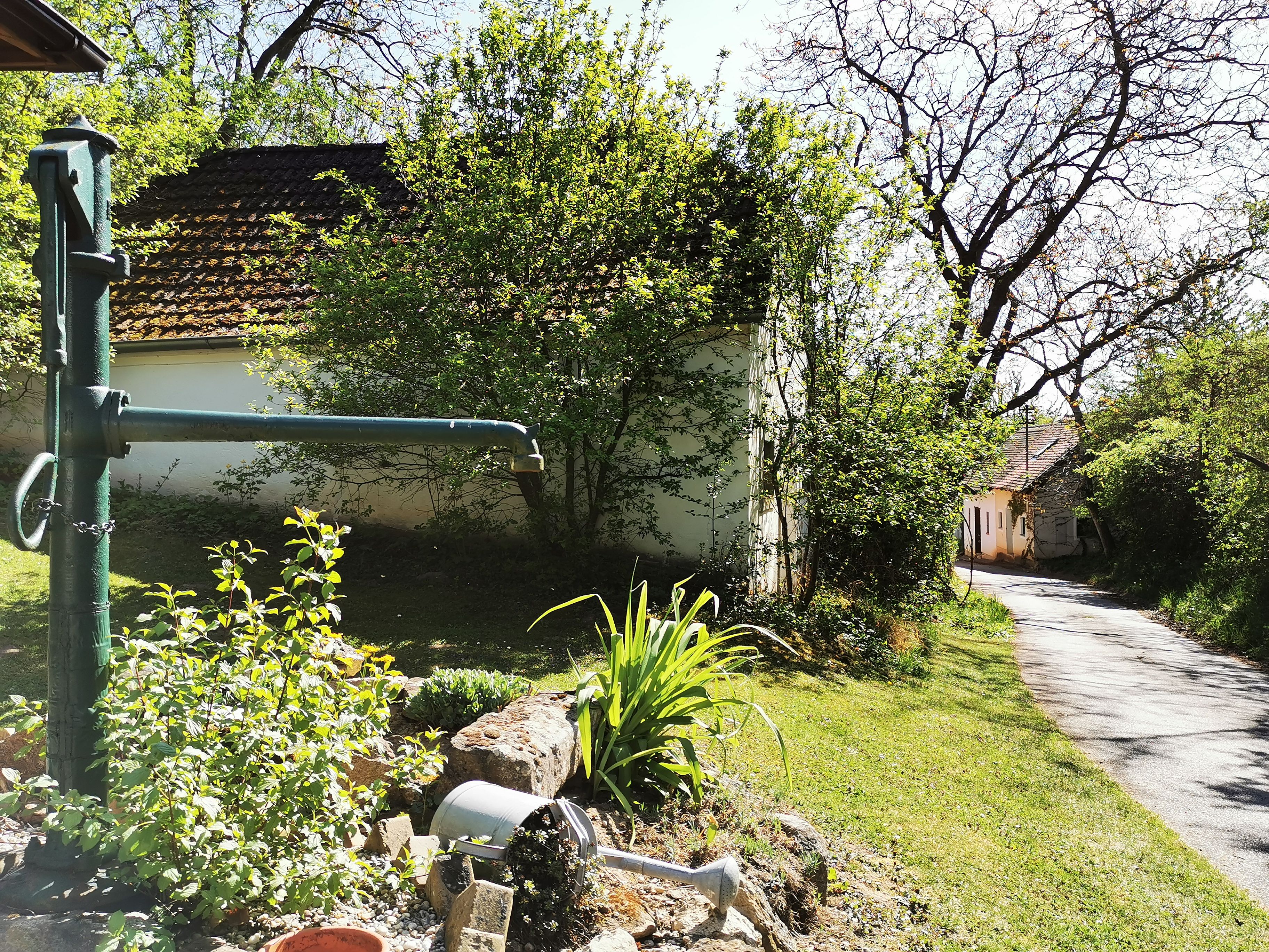 Ländliche Szene mit Wasserpumpe, Pflanzen und Weg.