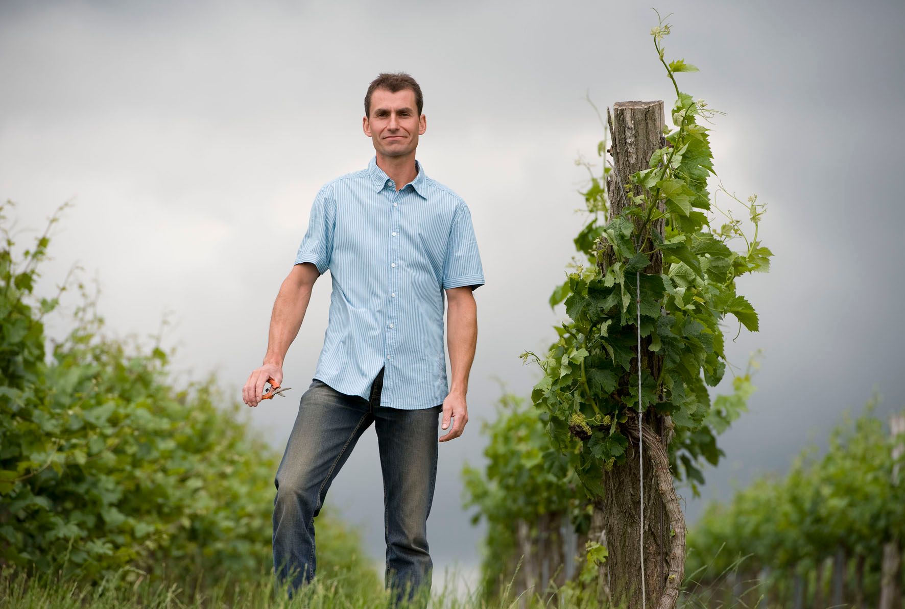 A man stands in a vineyard with a pair of pruning shears in his hand.