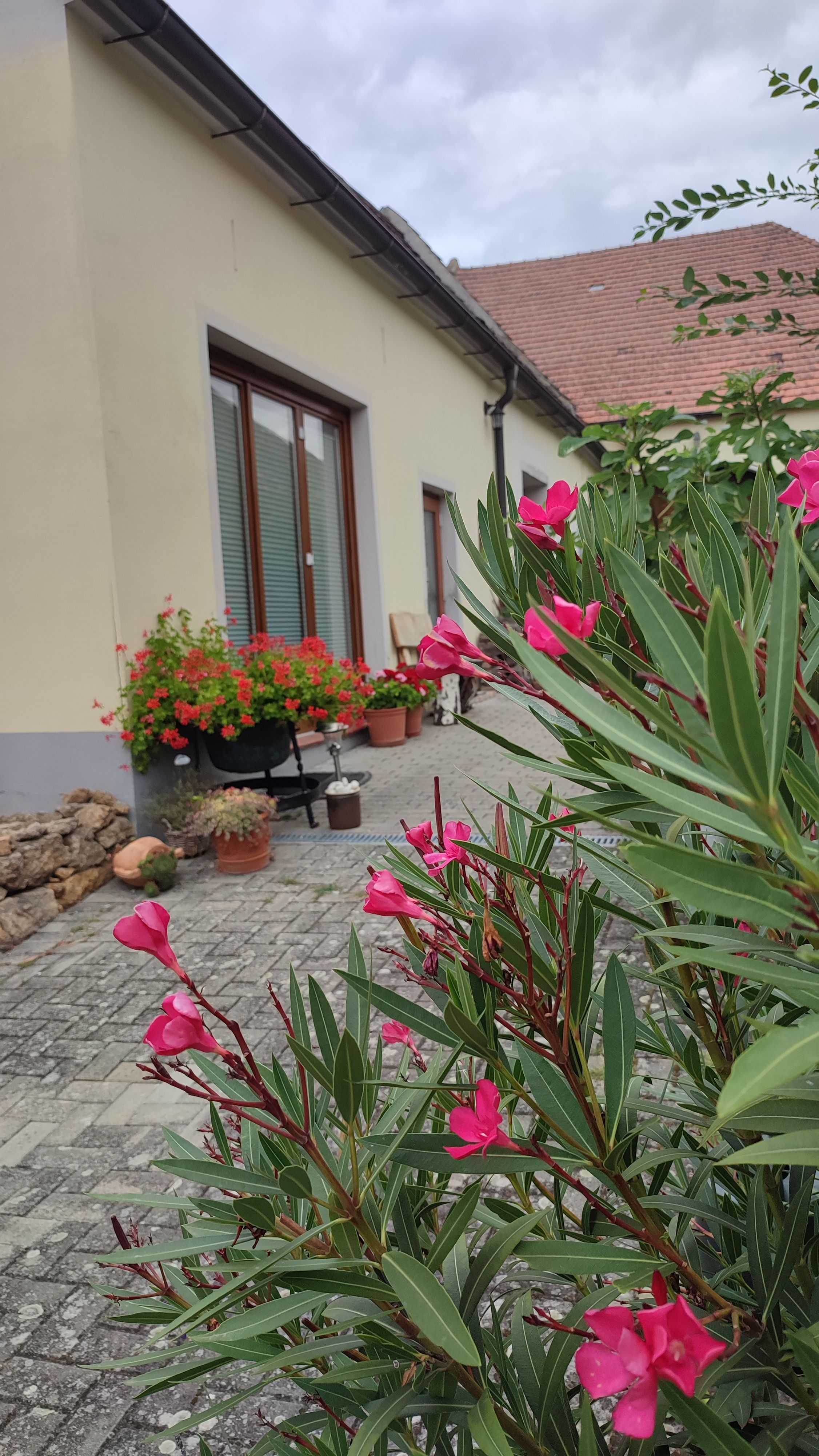 Ein Ferienhaus mit blühenden Pflanzen im Vordergrund und einem gepflasterten Weg.