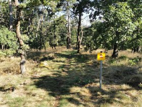 Rosstalenweg, &copy; Retzer Land