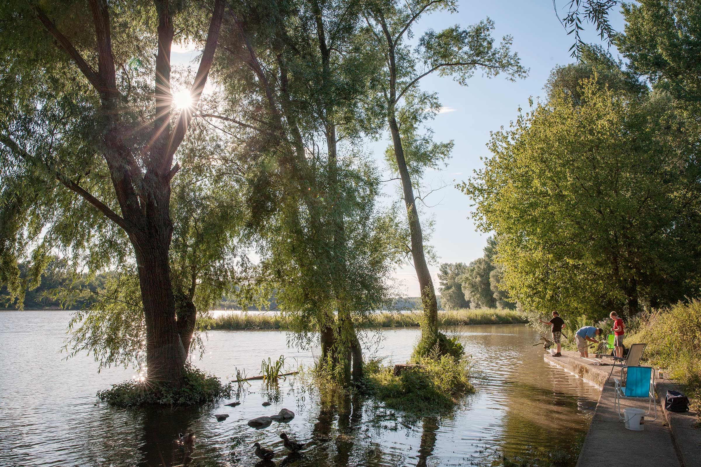 Donauau, Kirchberg am Wagram