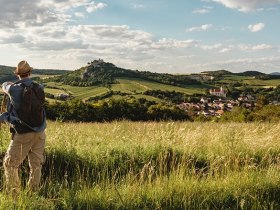 Blick auf die Burgruine Falkenstein, &copy; Michael Reidinger