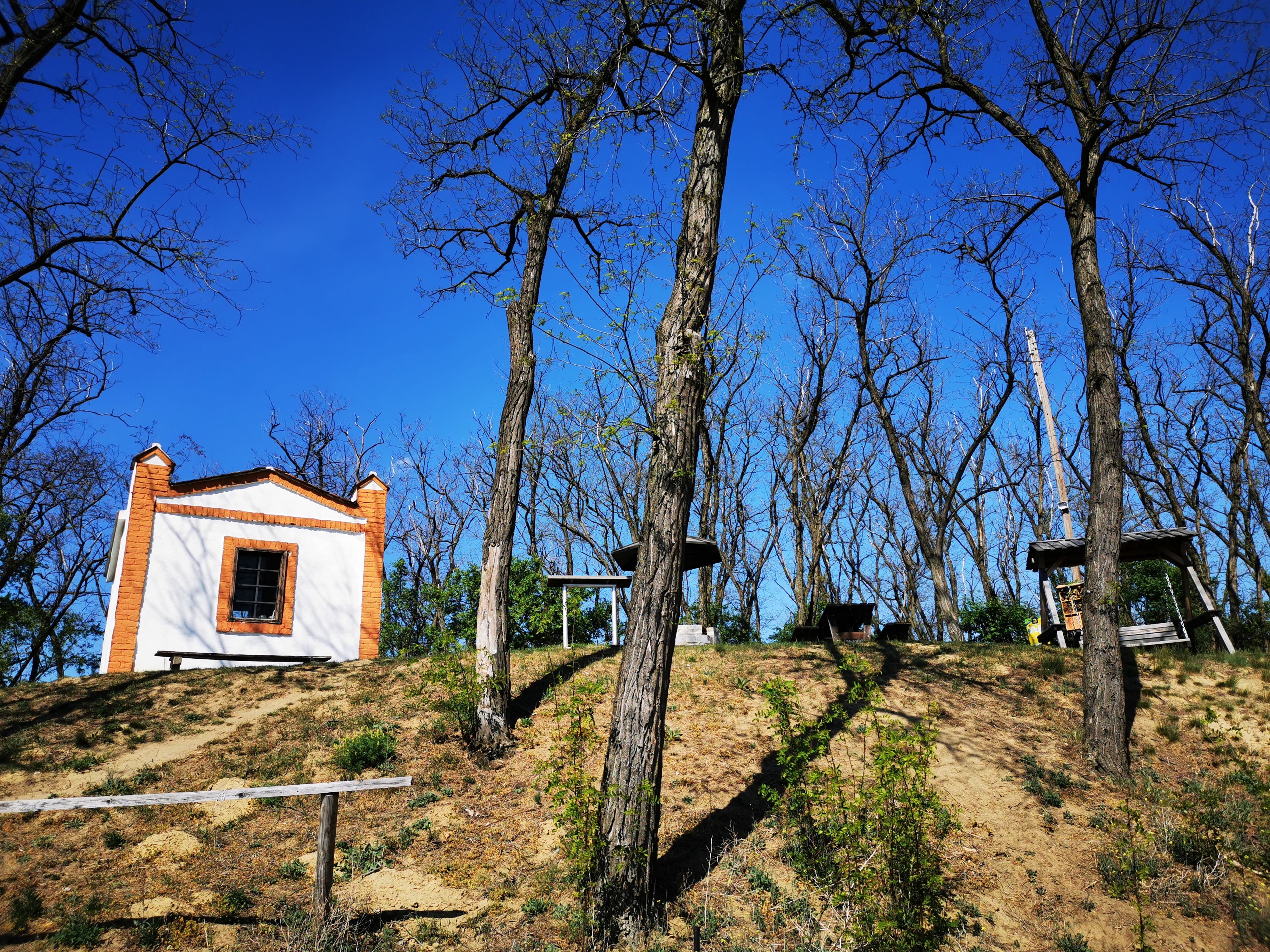 White building with red bricks on a hill, surrounded by bare trees under a blue sky.