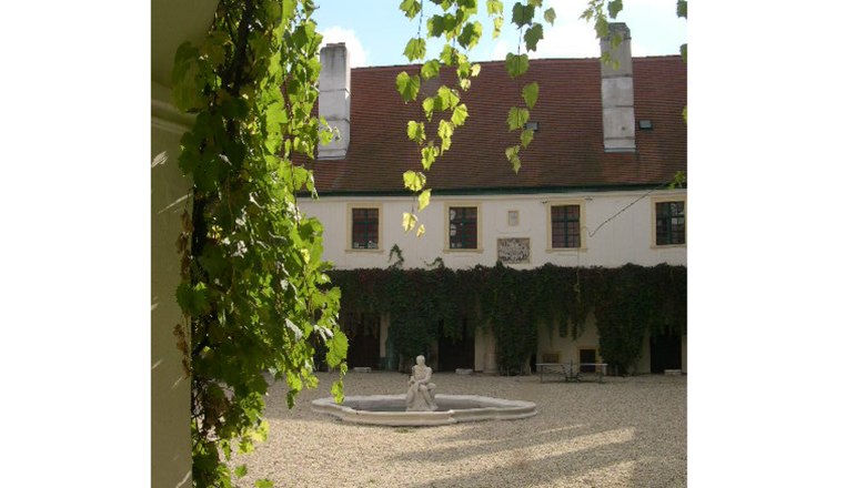 Innenhof von Schloss Loosdorf mit Brunnen und Efeu an den Wänden.
