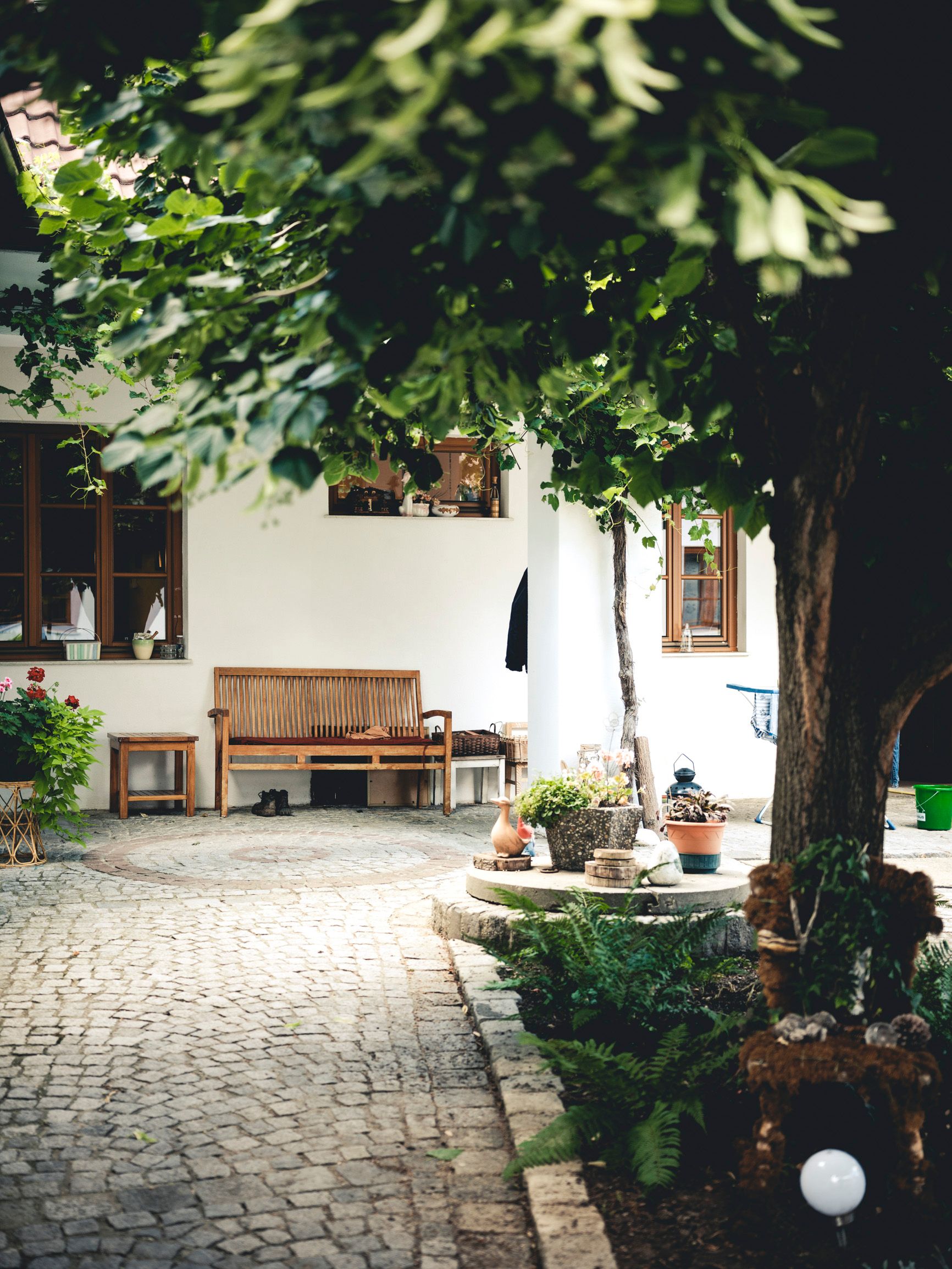 A cozy courtyard with wooden benches, plants and cobblestones, surrounded by green trees.