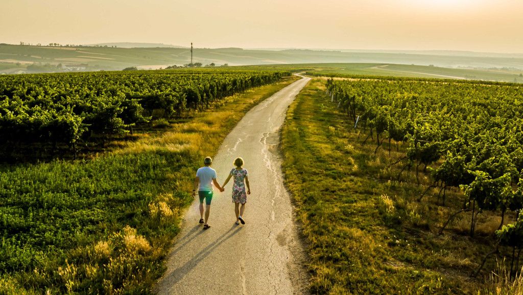 Spaziergang zum Sunset Tasting