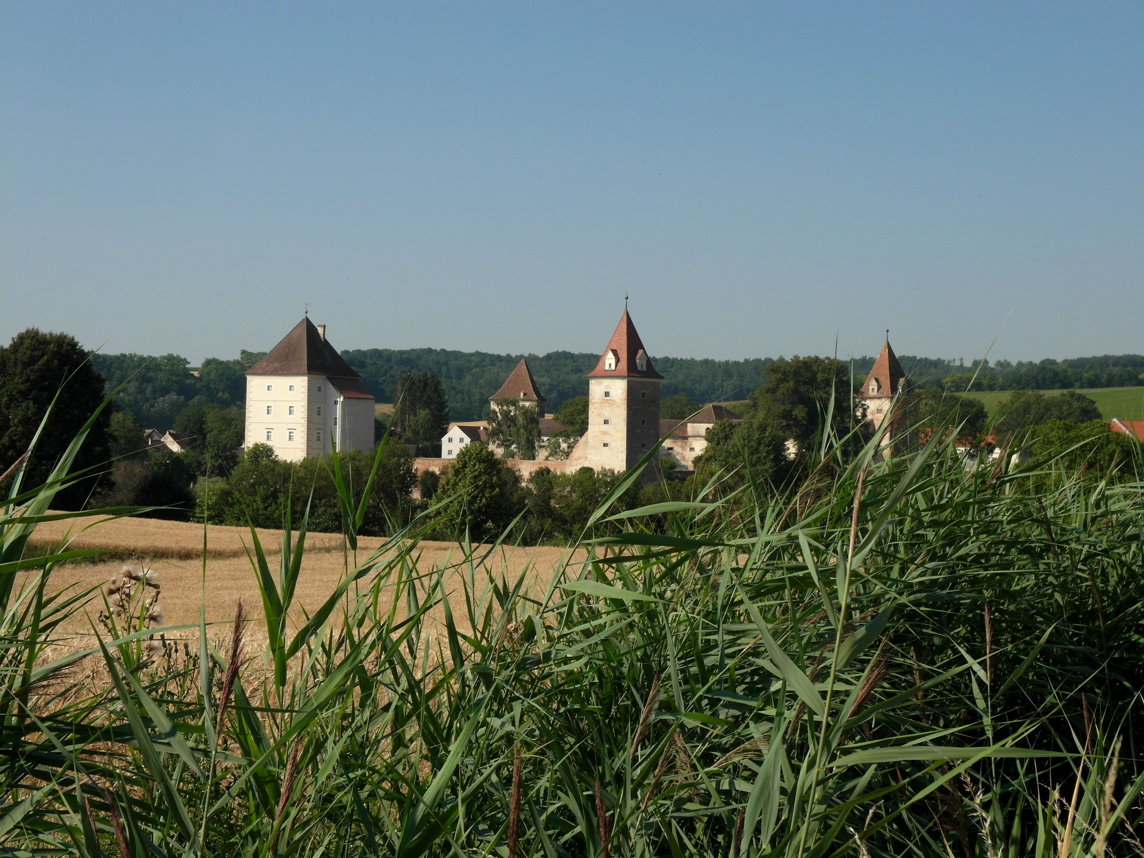 Schloss mit Türmen hinter einem Feld und hohen Gräsern.