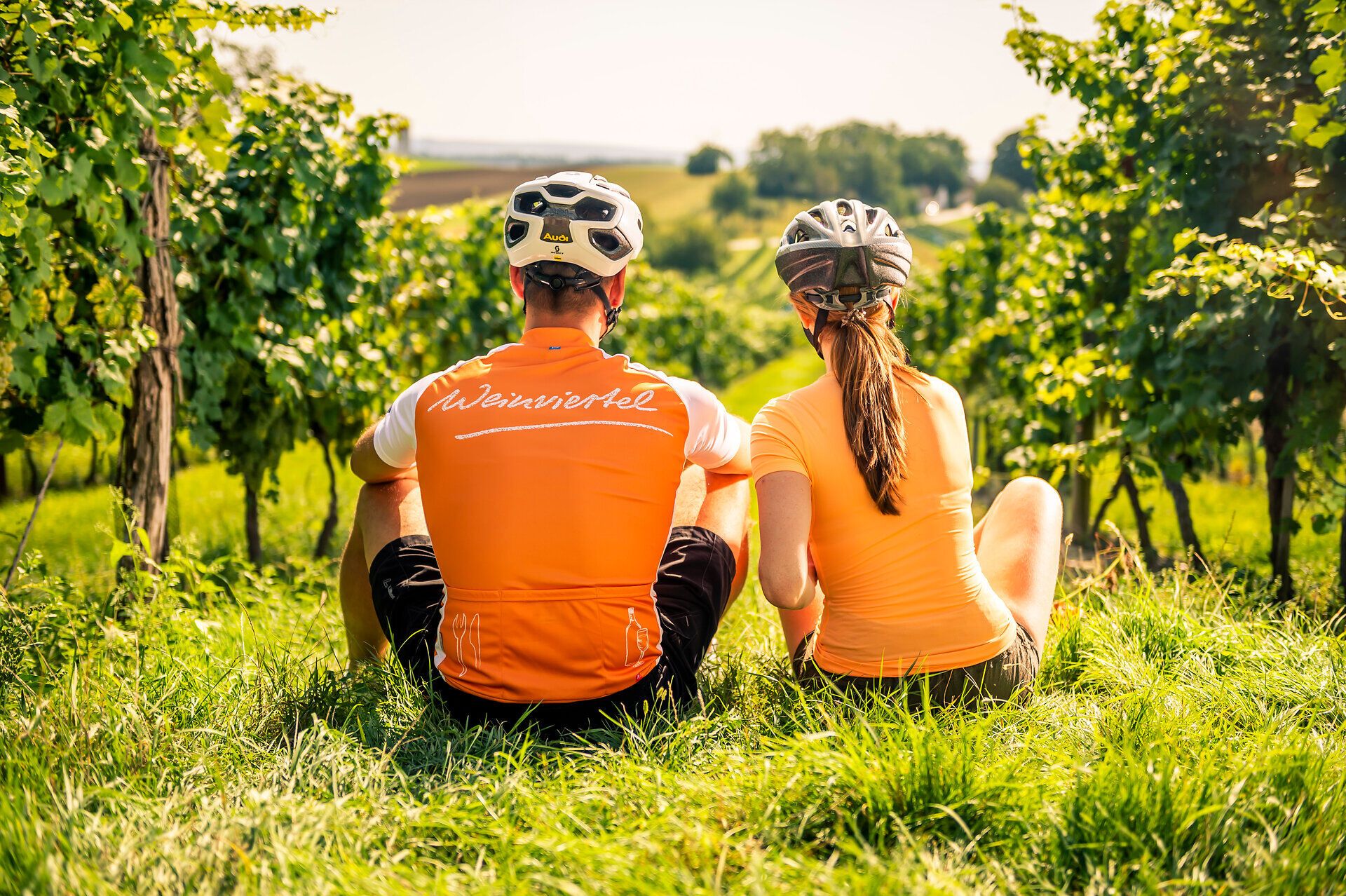 Inmitten der sanften Hügel des Weinviertels genießen ein Paar eine wohlverdiente Rast in einem malerischen Weingarten. Umgeben von üppigen Reben und dem Duft des Weins, strahlt die Szenerie eine entspannte Atmosphäre aus, die zum Verweilen einlädt.