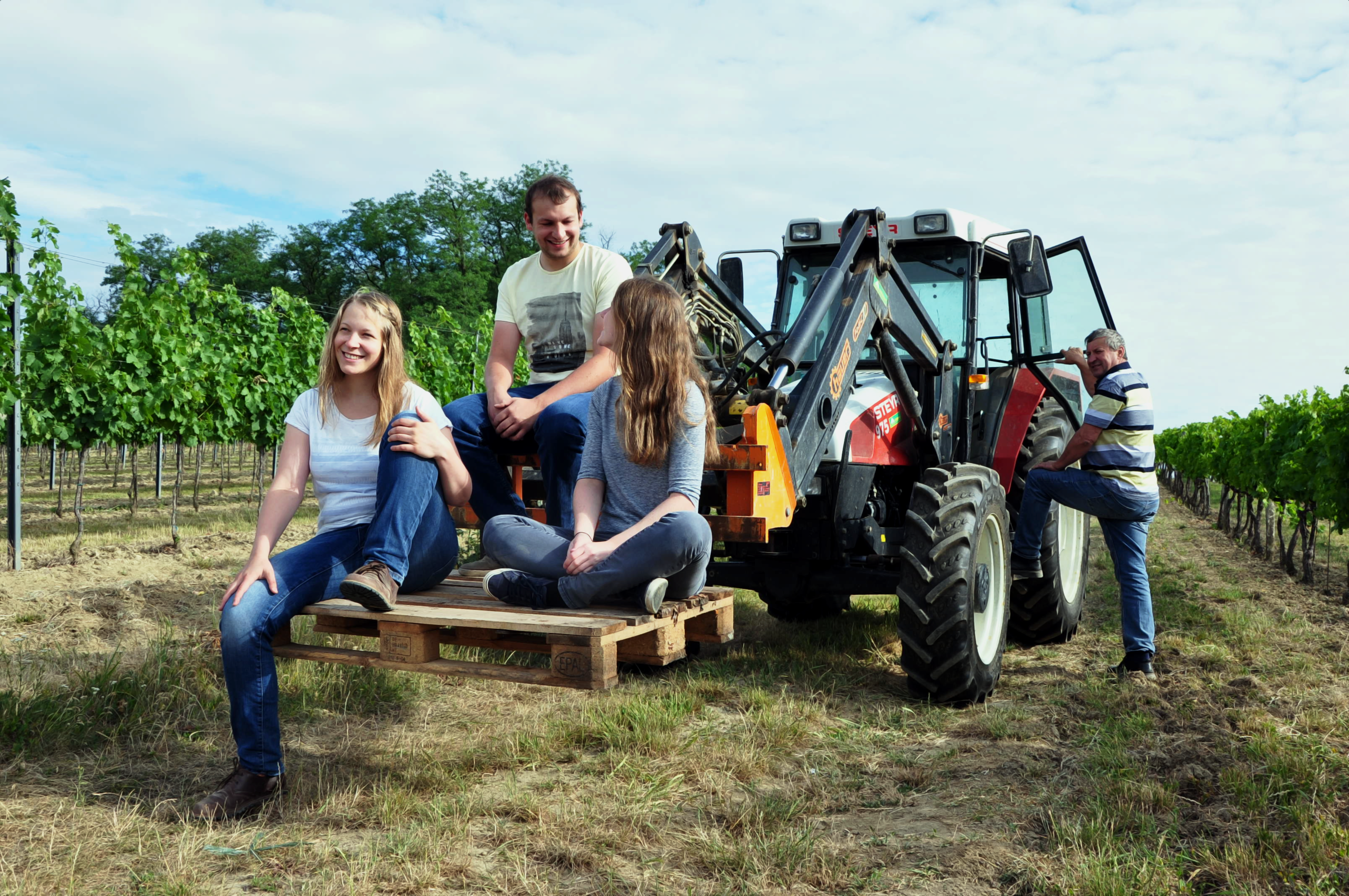 Four people in a vineyard next to a tractor, three sitting on a pallet, one leaning against the tractor.