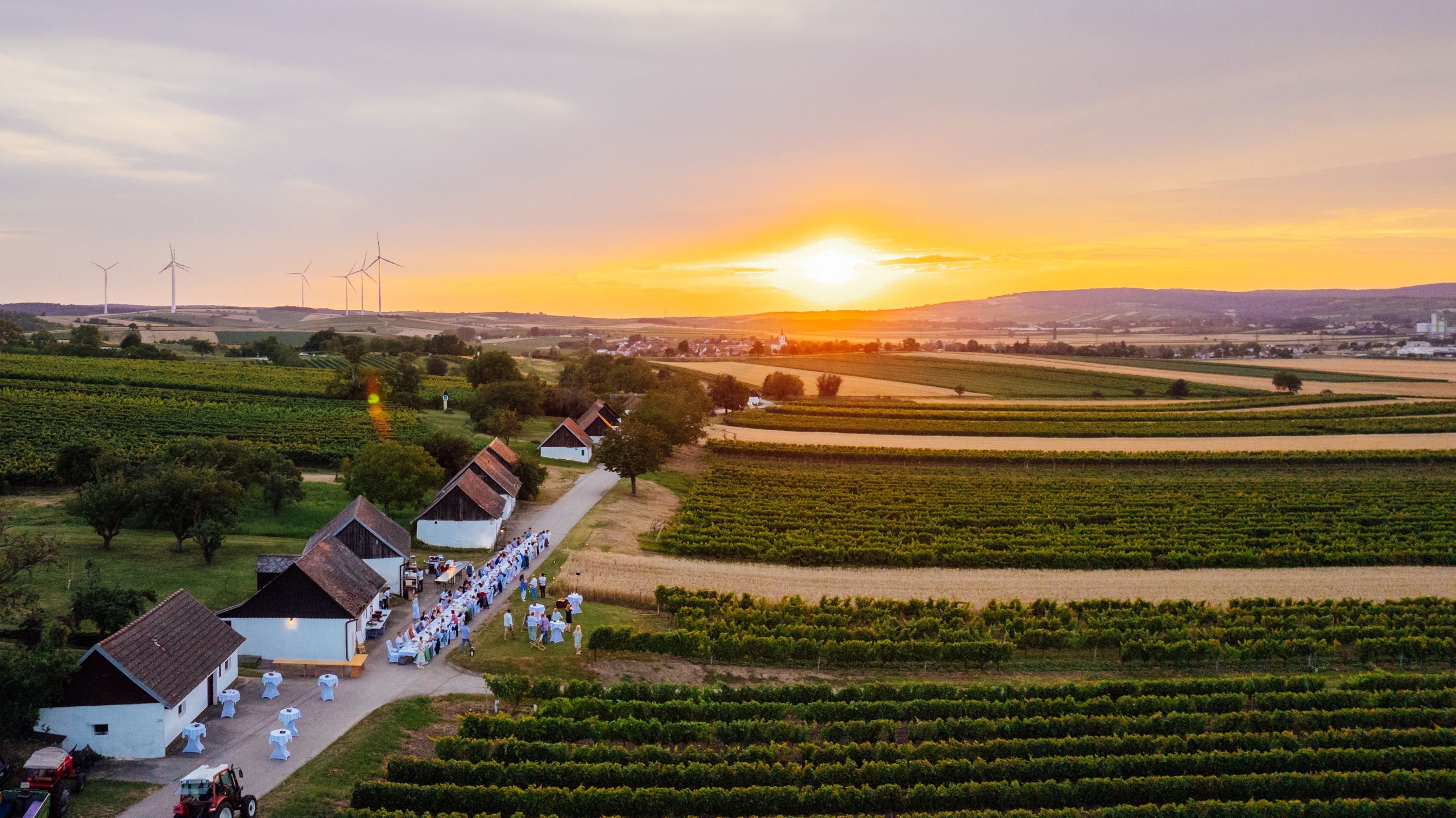 Luftaufnahme von Weinbergen und einem Dorf im Weinviertel bei Sonnenuntergang, mit Windrädern im Hintergrund.
