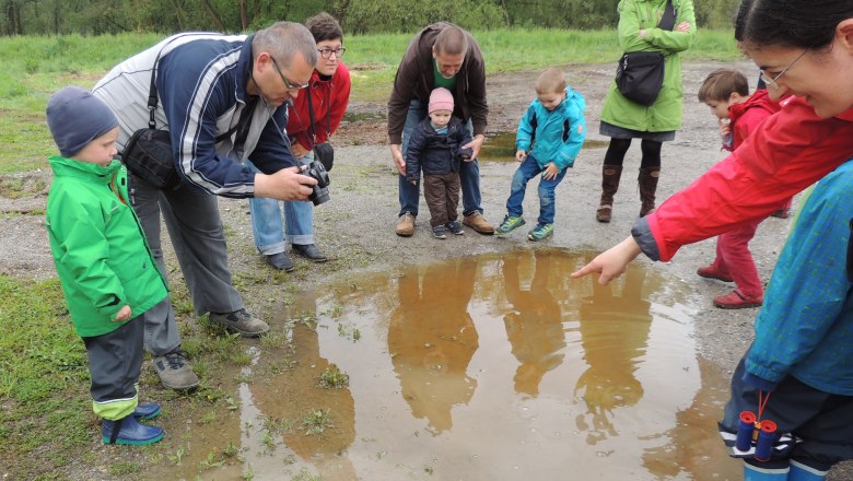 Gruppe von Erwachsenen und Kindern beobachtet eine Pfütze im Freien.