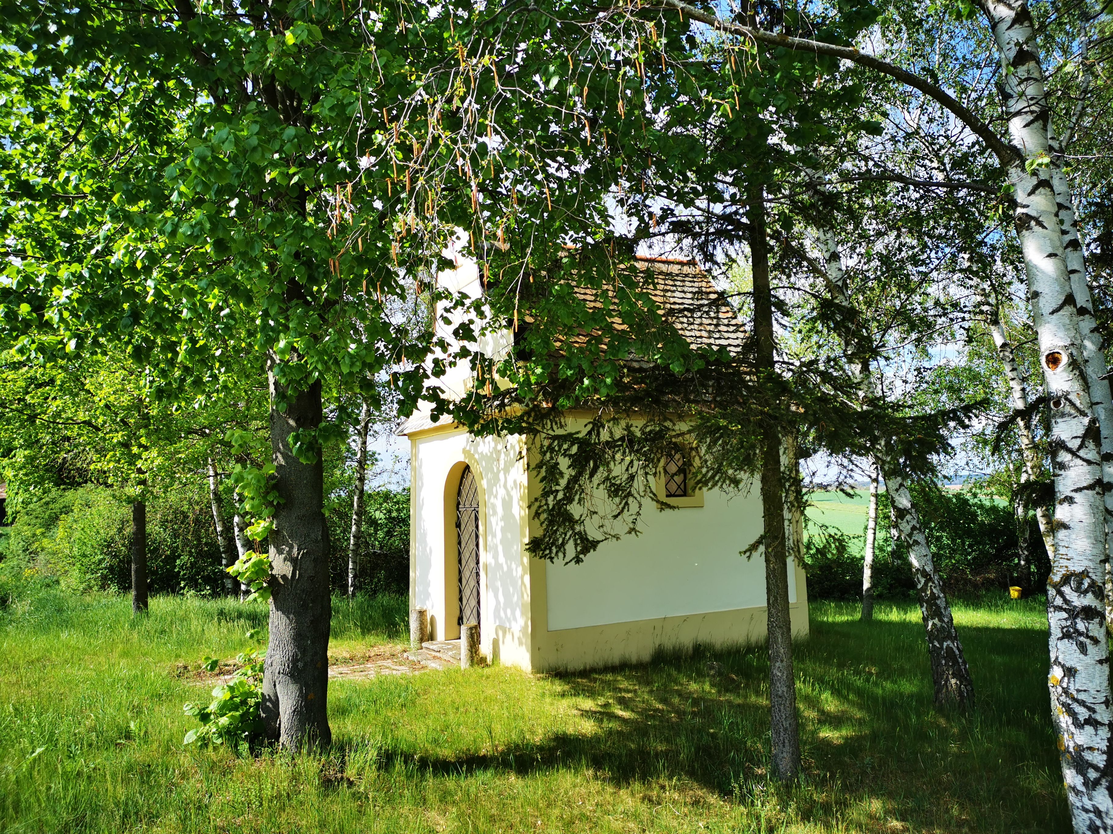 Kleine Kapelle umgeben von Bäumen und Wiese bei Sonnenschein.