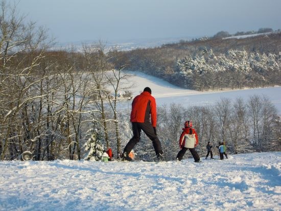Menschen beim Skifahren auf einem schneebedeckten Hügel mit Bäumen im Hintergrund.