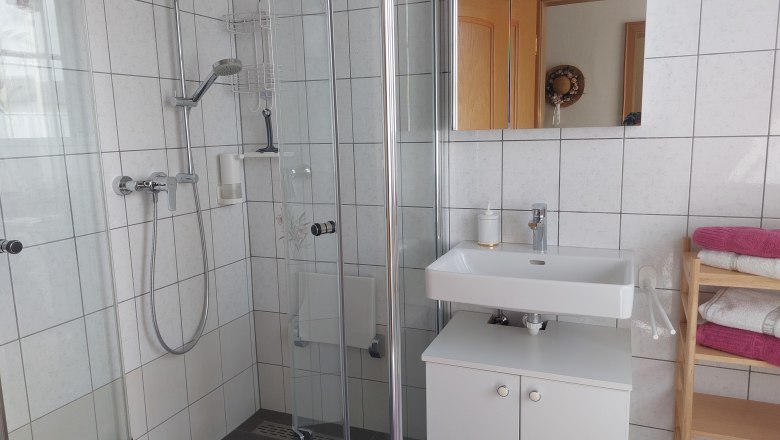Modernes Badezimmer mit Dusche, Waschbecken und Handtuchregal.