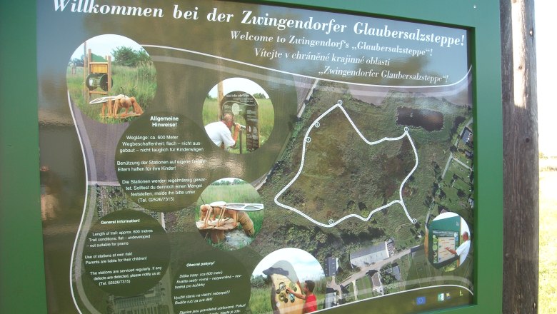 Informationstafel des Zwingendorfer Glaubersalzsteppen-Lehrpfads mit Karte und Hinweisen.