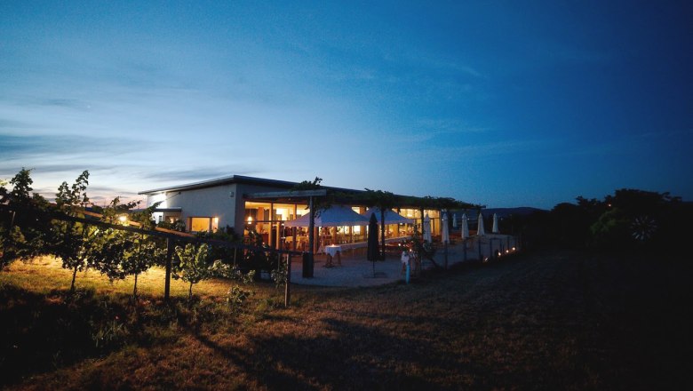 Evening shot of an illuminated Buschenschank (typical tavern) with vines in the foreground and a blue sky in the background.