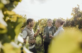 Weintourismus, &copy; Weinviertel Tourismus / Sophie Menegaldo