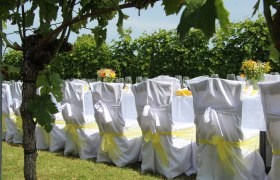 Gedeckter Tisch im Freien mit weißen Stuhlhussen und gelben Schleifen, umgeben von Weinreben.
