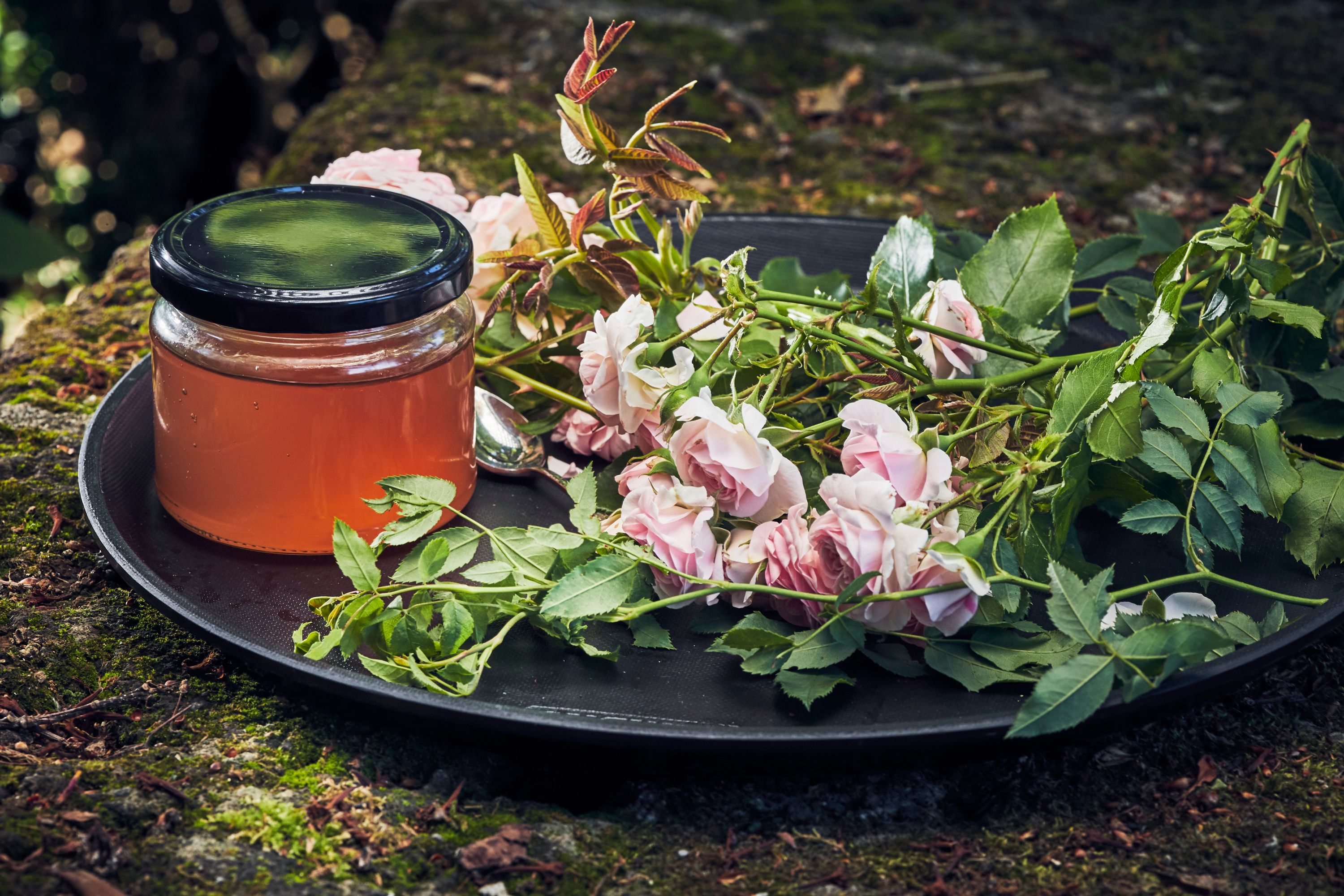 Ein Glas Rosenblütengelee neben frischen Rosen auf einem Tablett im Freien.