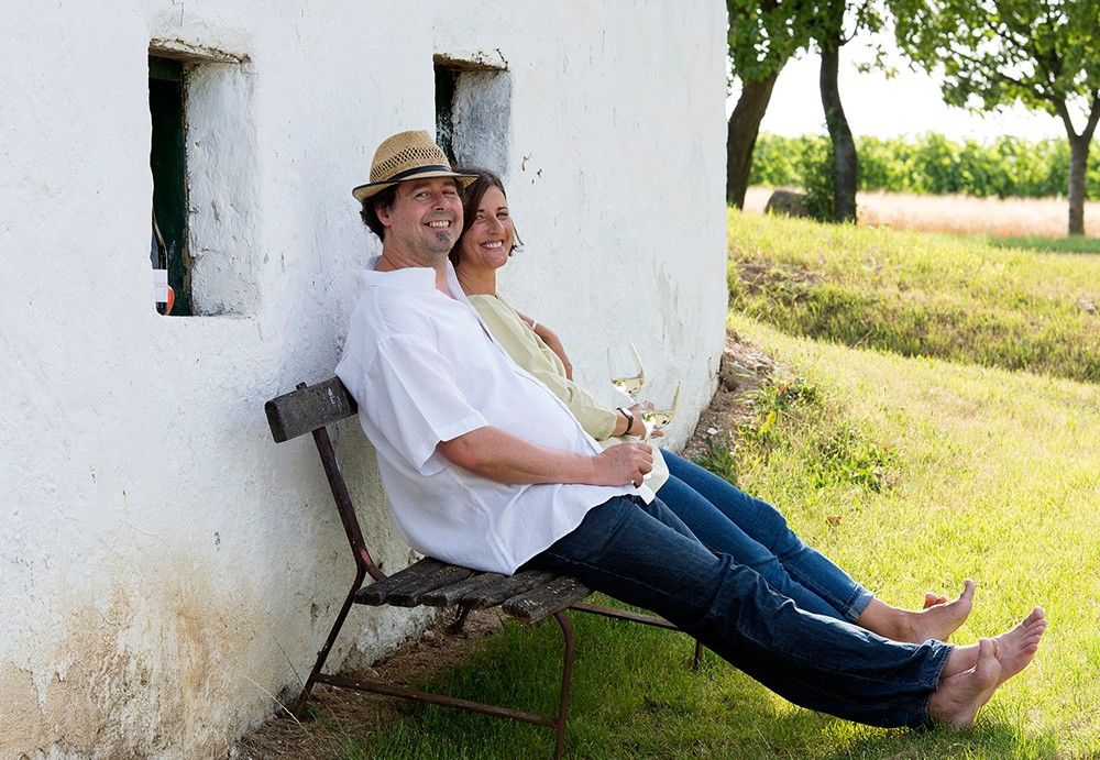 Weingenuss an der Weinstraße Weinviertel