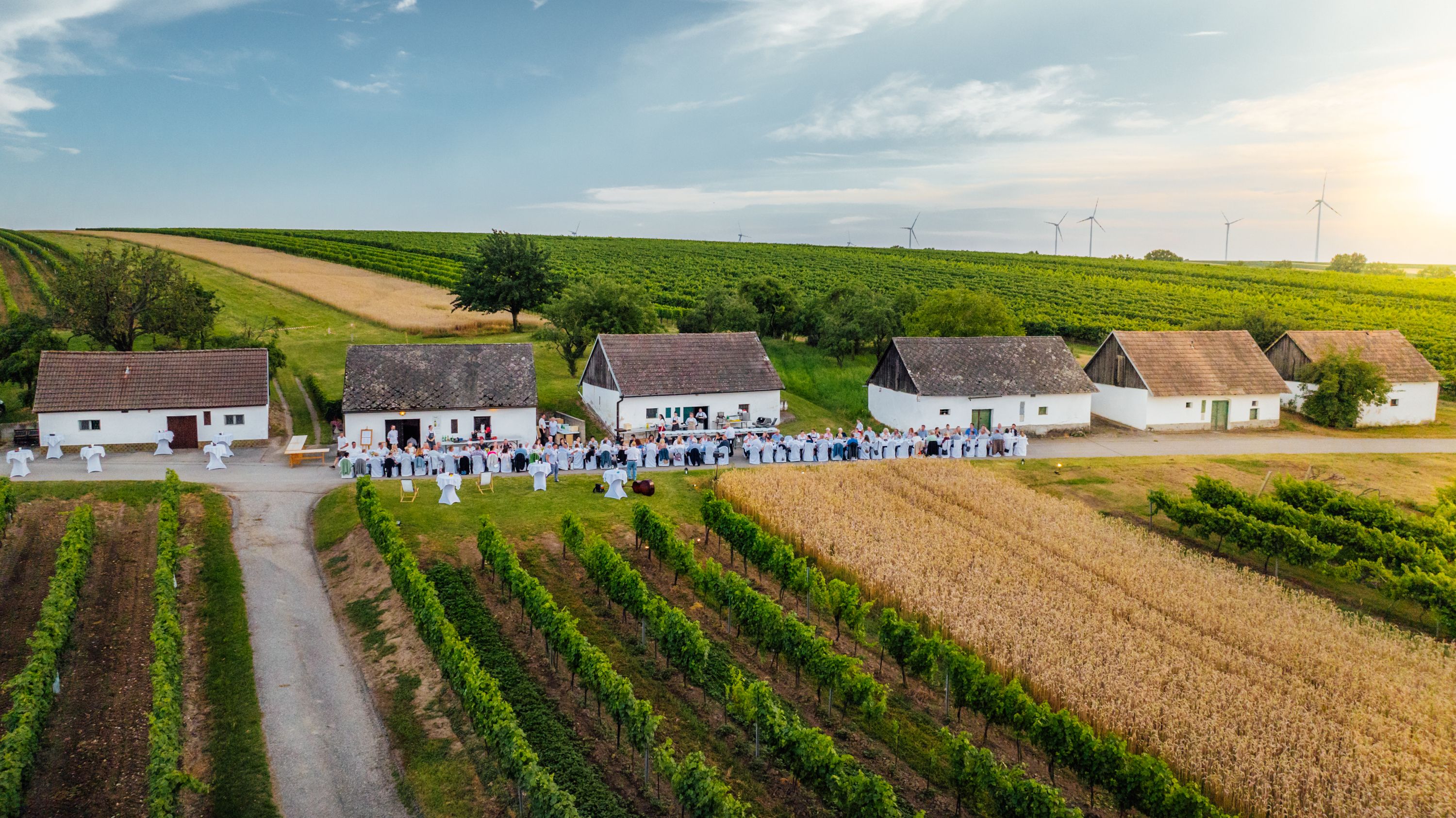 Luftaufnahme von Menschen, die an langen Tafeln zwischen Weinhäusern im Weinviertel sitzen, umgeben von Weinbergen und Feldern.