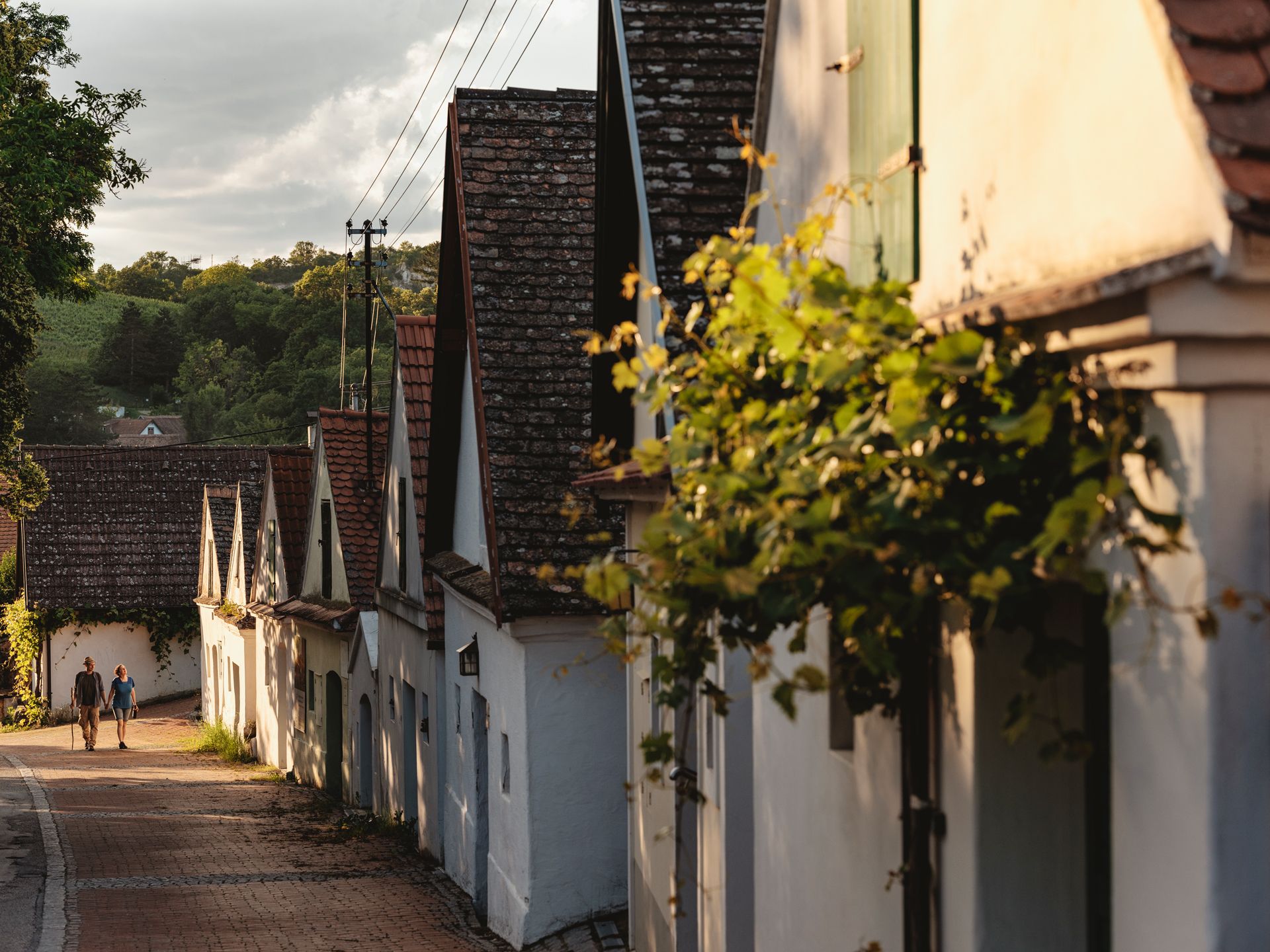 Eine malerische Kellergasse in Falkenstein mit traditionellen Weinkellern und zwei Personen, die entlang der Straße spazieren.