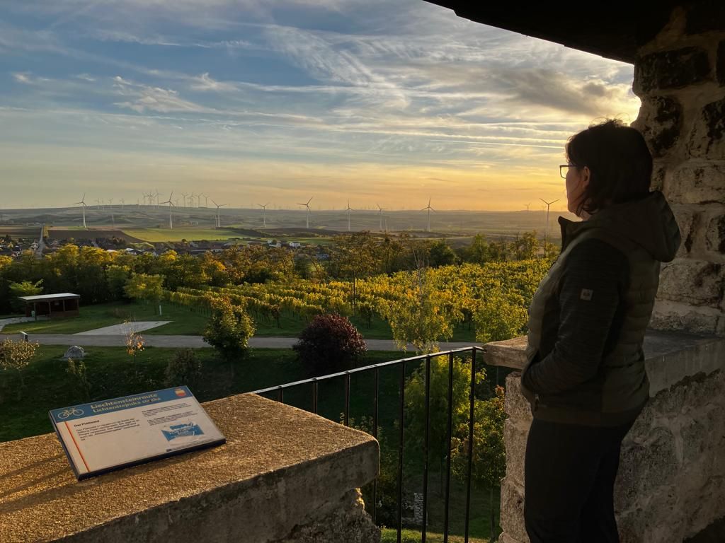 Person blickt von einer Aussichtswarte auf eine Landschaft mit Windrädern im Sonnenuntergang.