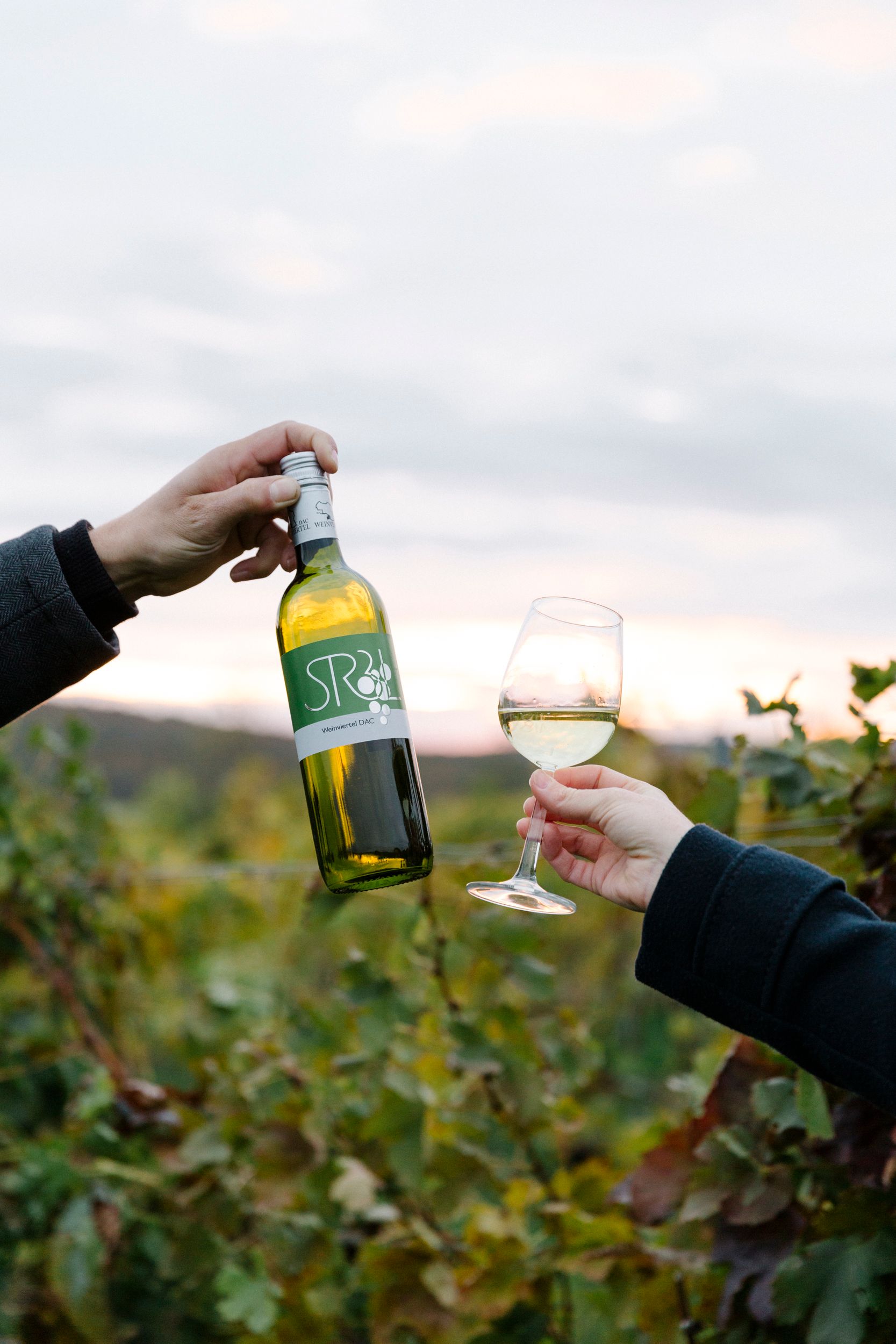 Two hands hold a bottle of wine and a glass of white wine in front of a vineyard.