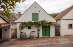 Ein weiß gekalktes Presshaus mit grüner Tür und zwei Weinfässern reiht sich zwischen andere Keller in einer Kellergasse ein.