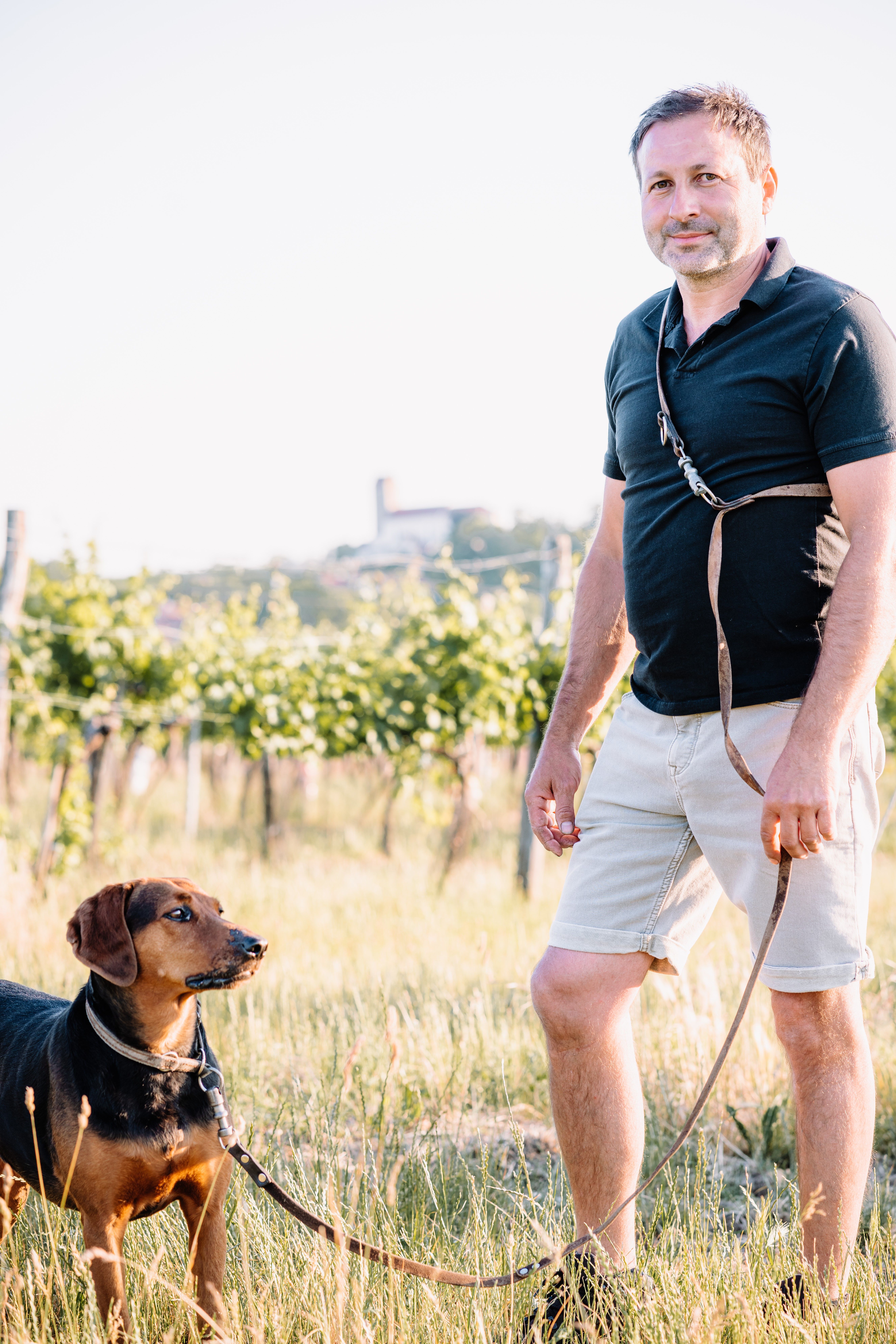 A man stands with a dog on a lead in a vineyard in the sunshine.
