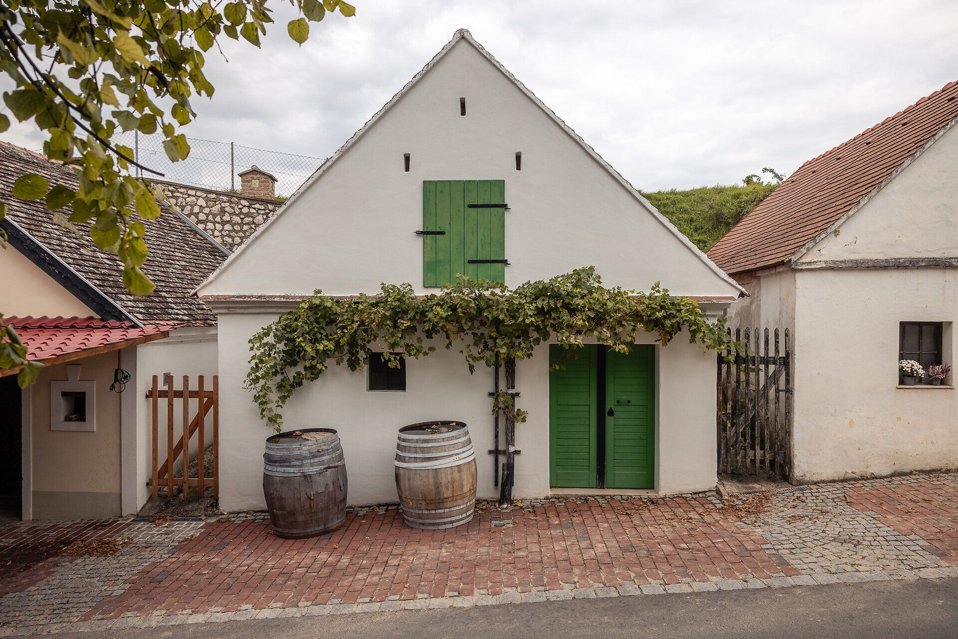 Ein weiß gekalktes Presshaus mit grüner Tür und zwei Weinfässern reiht sich zwischen andere Keller in einer Kellergasse ein.